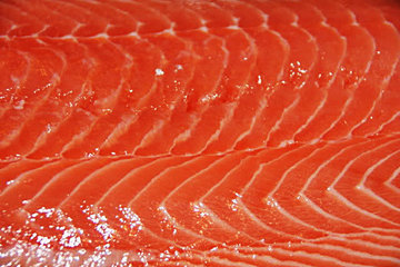 Verse Zalm