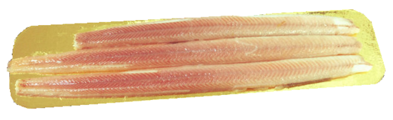 Palingfilet 100 gram (vacuum)