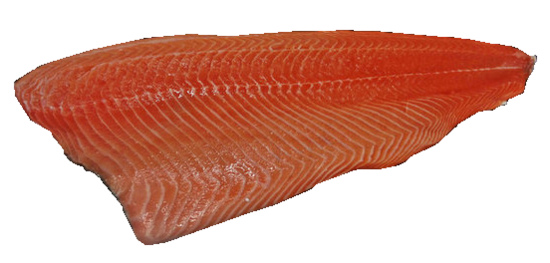 Verse Zalmzijde 